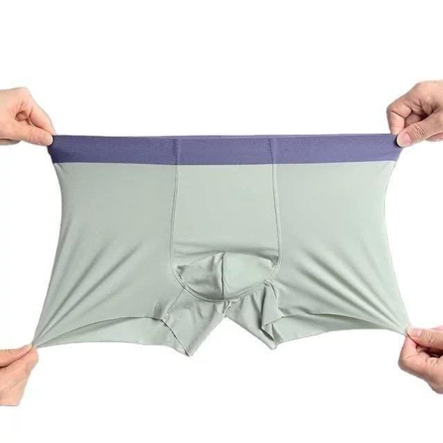 Men's Ice Silk Briefs Boxers (Pack of 5) Underwear