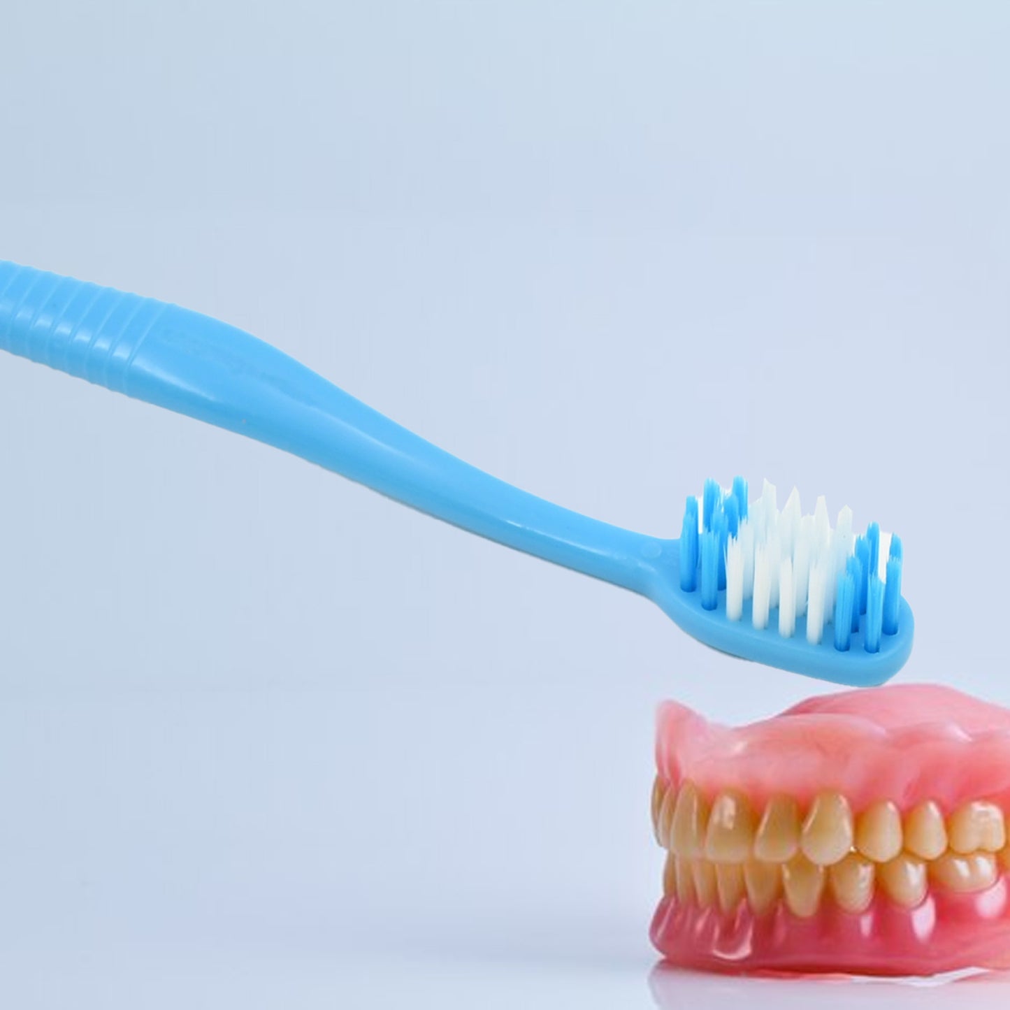 12721 2 In 1 Soft Toothbrush And Tongue With Toothbrush Cover Cleaner Scraper For Men And Women Kids Adults Plastic Toothbrush Cover Case Holder (1 Pc)