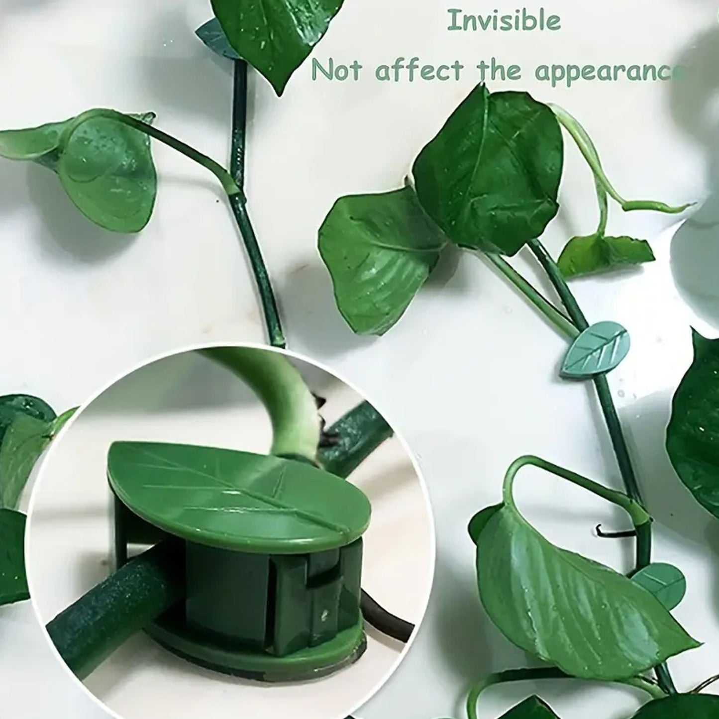 0311 Plant Climbing Wall Fixture Clip Self-adhesive Hook Vines Traction Invisible Stand Green Leaf Plant Clip Garden Wall Clip Plant Support Binding Clip Plants For Indoor Outdoor Decoration (30 Pcs Set)