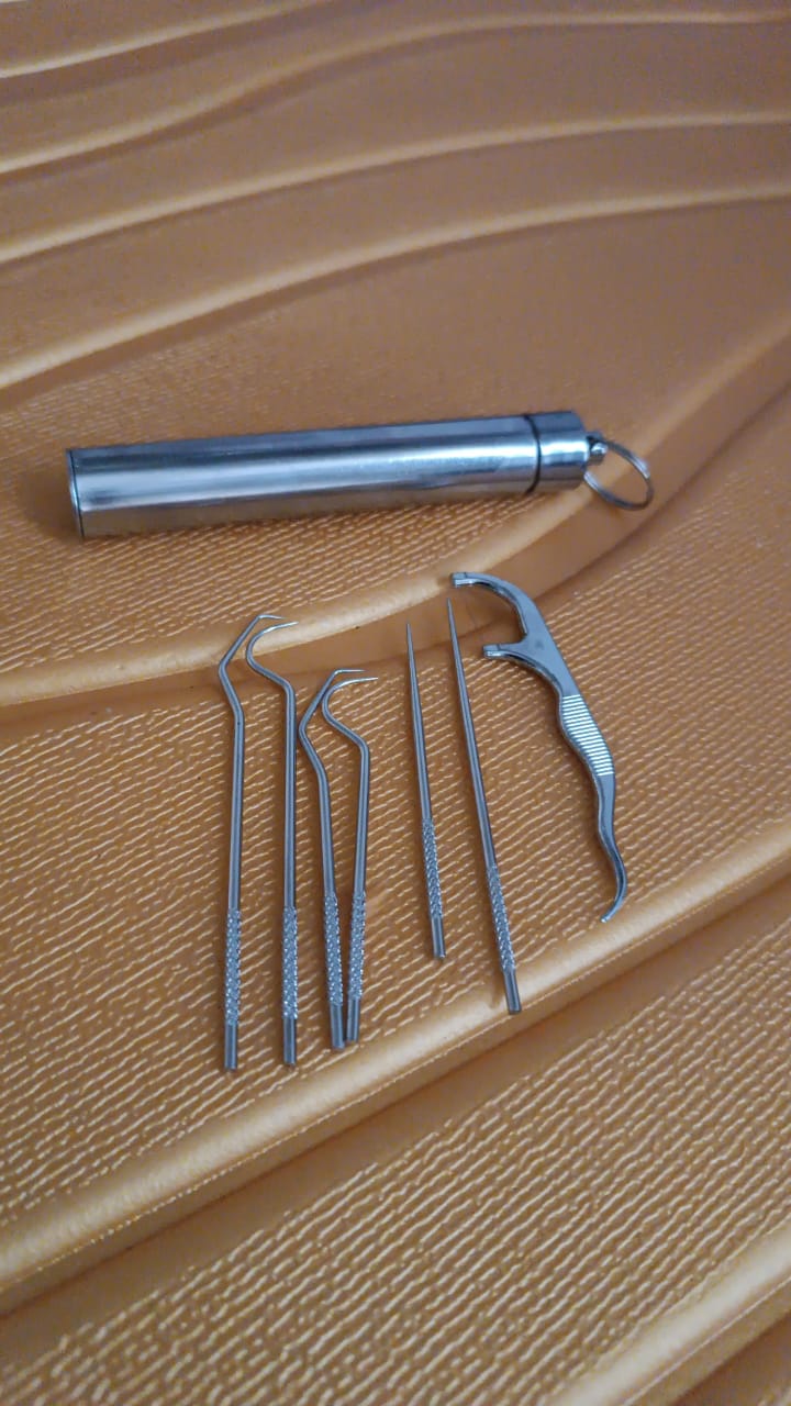 7 In 1 Stainless Steel Toothpick Flossier Set (1 Set With Case)