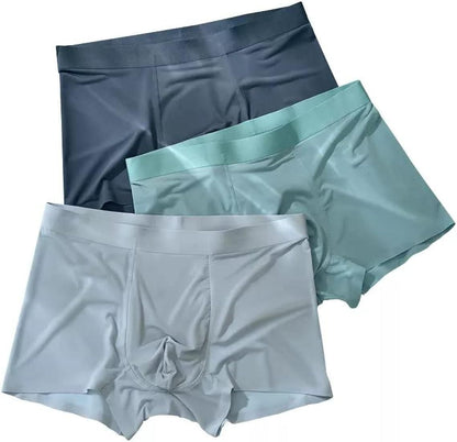 Men's Ice Silk Briefs Boxers Pack of 5 Underwear