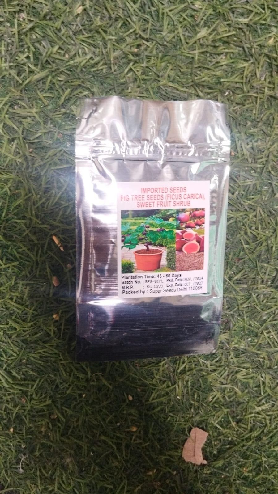 The Latest Orname ntal And Edible Mint Varieties