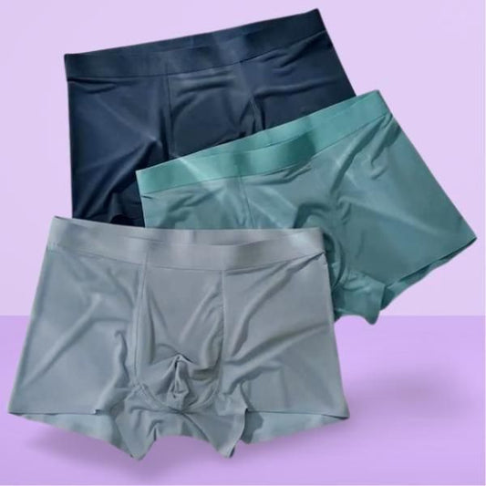 Men's Ice Silk Briefs Boxers (Pack of 3) Underwear