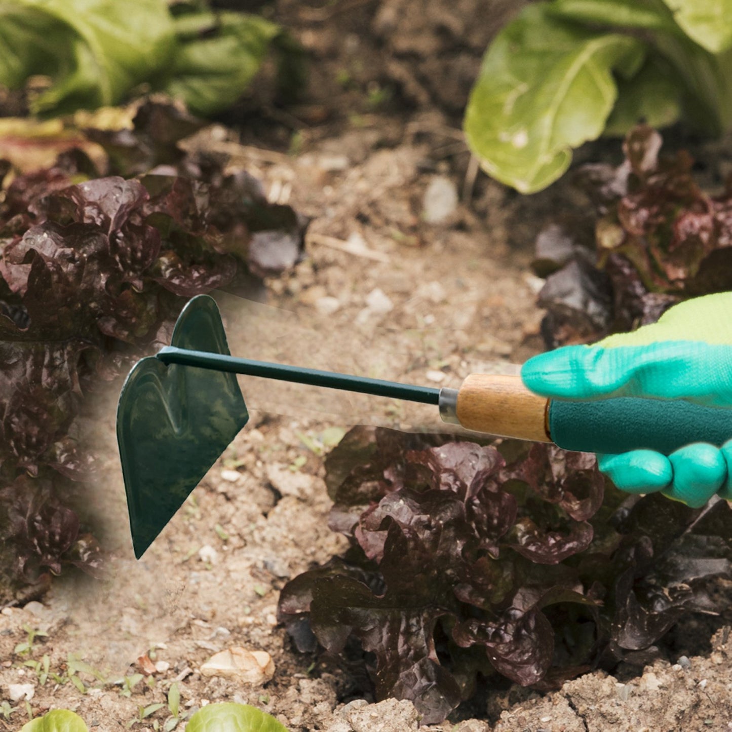 1740 Gardening Hoe Tool With Handle