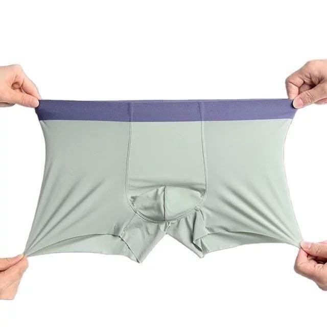 Men's Ice Silk Briefs Boxers Pack of 5 Underwear