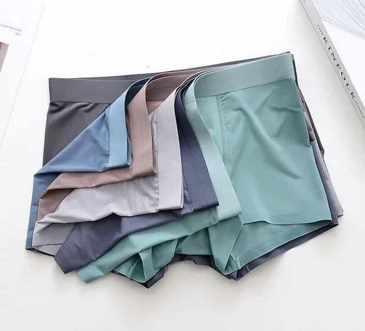 Men's Ice Silk Briefs Boxers Pack of 5 Underwear