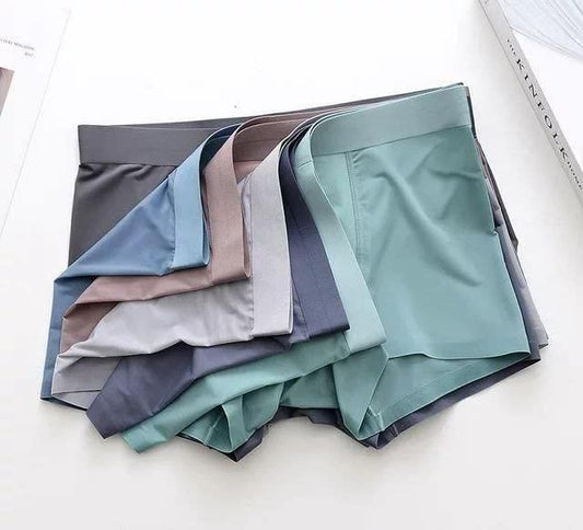 Men's Ice Silk Briefs Boxers (Pack of 5) Underwear