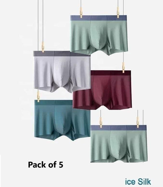Men's Ice Silk Briefs Boxers Pack of 5 Underwear