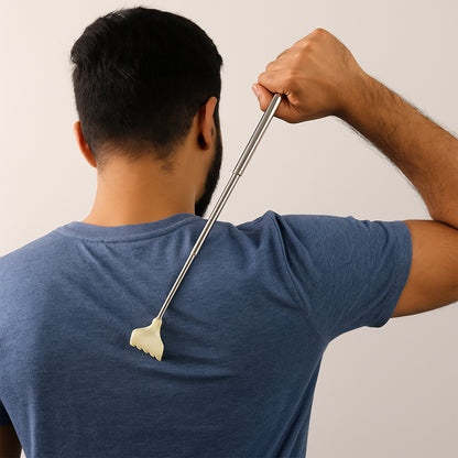 Telescopic Back Scratcher With Plastic Claw (1 Pc)