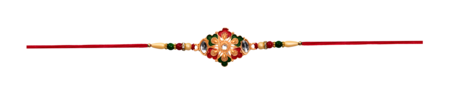 Rakhi 502