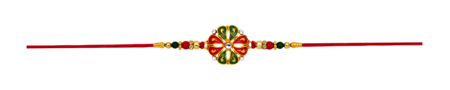 Rakhi 304