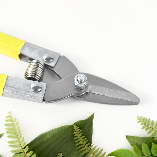 Precision Micro Garden Snip Pruning Scissor (Small)